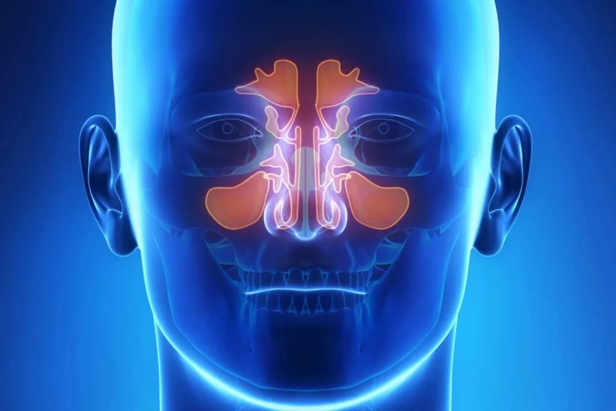 sinus meaning in hindi 